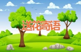 送花寄语