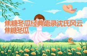 焦糖冬瓜经典语录 沈氏风云_焦糖冬瓜