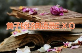 黄子韬经典语录（EXO）