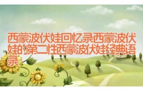 西蒙波伏娃回忆录 西蒙波伏娃的第二性 西蒙波伏娃经典语录