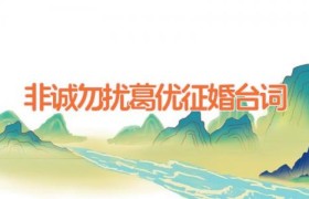 非诚勿扰葛优征婚台词