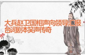 大兵赵卫国相声向领导汇报台词剧本 笑声传奇