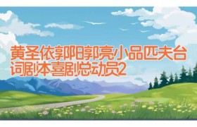 黄圣依郭阳郭亮小品匹夫台词剧本 喜剧总动员2