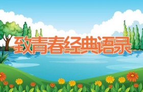 致青春经典语录