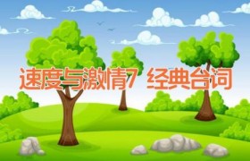 速度与激情7经典台词