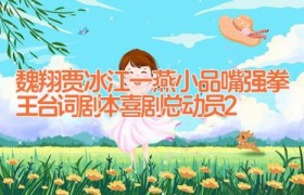 魏翔贾冰江一燕小品嘴强拳王台词剧本 喜剧总动员2