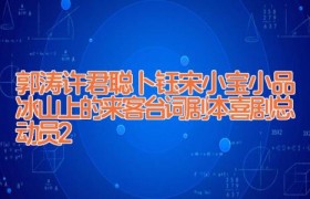 郭涛许君聪卜钰宋小宝小品冰山上的来客台词剧本 喜剧总动员2
