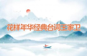 花样年华经典台词 王家卫