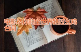 电影从你的全世界路过幺鸡台词