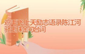 鸡毛飞上天励志语录 陈江河骆玉珠金句台词