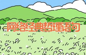 网络经典哲理语句