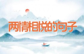 两情相悦的句子