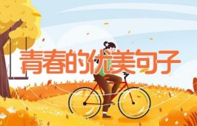 青春的优美句子