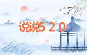 说说520