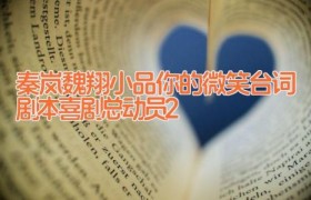 秦岚魏翔小品你的微笑台词剧本 喜剧总动员2