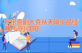 欢乐喜剧人喜从天降小品经典台词 小沈阳