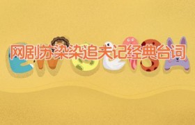 网剧苏染染追夫记经典台词