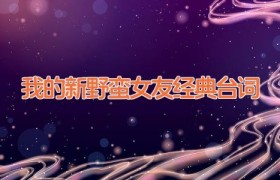 我的新野蛮女友经典台词