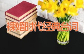 裸婚时代经典台词