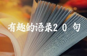 有趣的语录20句