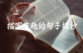 描写有趣的句子摘抄