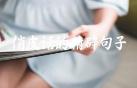 俏皮话的精辟句子