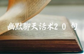 幽默聊天话术20句