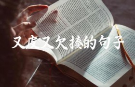又皮又欠揍的句子