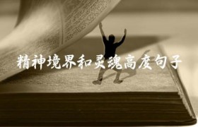 精神境界和灵魂高度句子