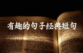 有趣的句子经典短句