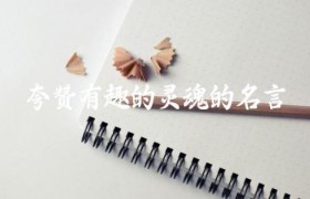 夸赞有趣的灵魂的名言