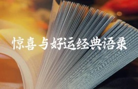 惊喜与好运经典语录