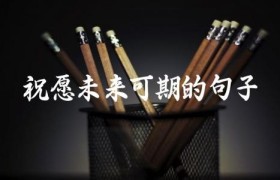 祝愿未来可期的句子