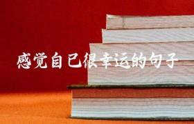 感觉自己很幸运的句子