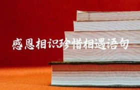 感恩相识珍惜相遇语句