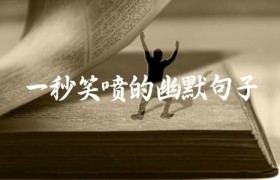 一秒笑喷的幽默句子