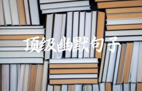 顶级幽默句子