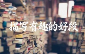 描写有趣的好段