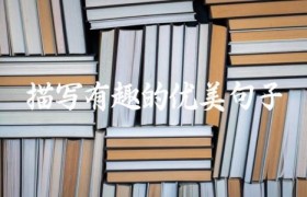 描写有趣的优美句子