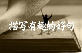 描写有趣的好句
