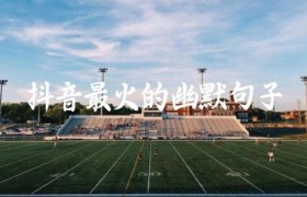 抖音最火的幽默句子