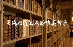 灵魂相近的人的唯美句子