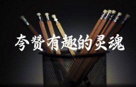 夸赞有趣的灵魂