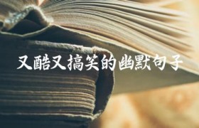 又酷又搞笑的幽默句子