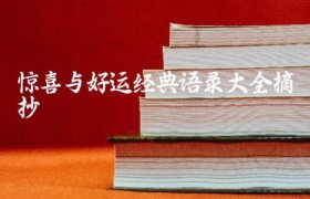 惊喜与好运经典语录大全摘抄