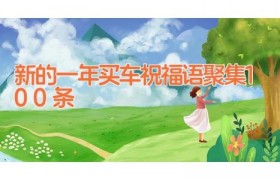 新的一年买车祝福语聚集100条
