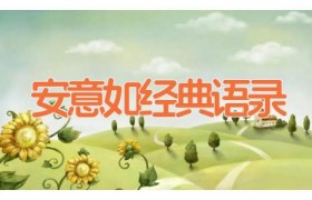 安意如经典语录