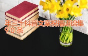 年三十抖音文案祝福语锦集90条