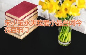 宋小宝永失我爱小品台词 今夜百乐门