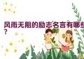 风雨无阻的励志名言有哪些？
